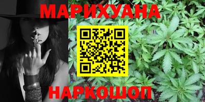 индика Гусев