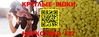индика Гусев