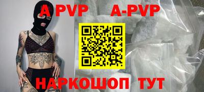 индика Гусев