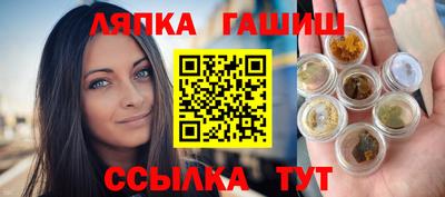 индика Гусев