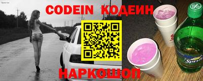 индика Гусев