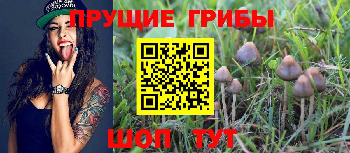 Мефедрон Лосино-Петровский