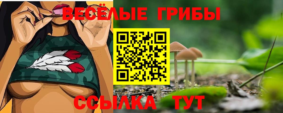 Псилоцибиновые грибы мицелий Лосино-Петровский