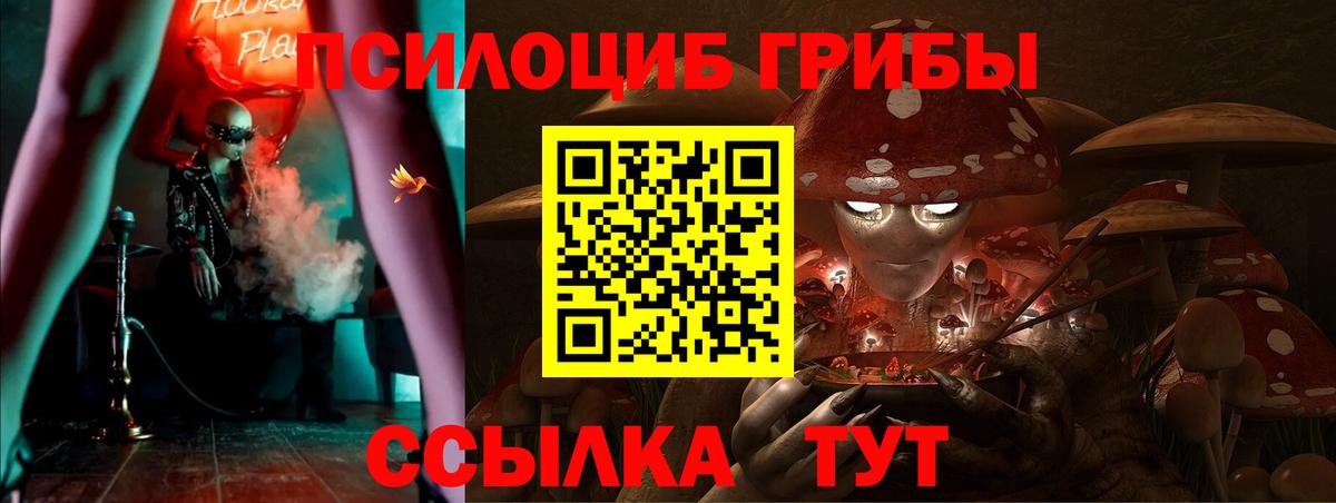 Галлюциногенные грибы Cubensis  купить  сайты  Лосино-Петровский  Вход с VPN  Галлюциногенные грибы Psilocybe 